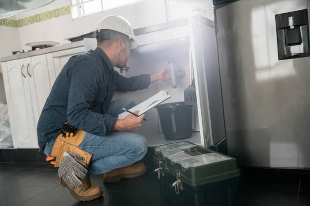 Best Local Plumber Services  in Elfers, FL