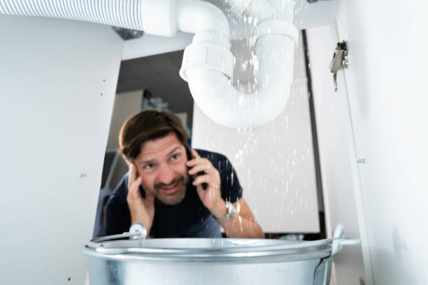 Best Toilet Repair Services  in Elfers, FL