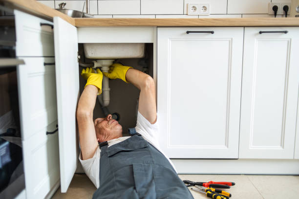 Best Boilers & Radiators  in Elfers, FL