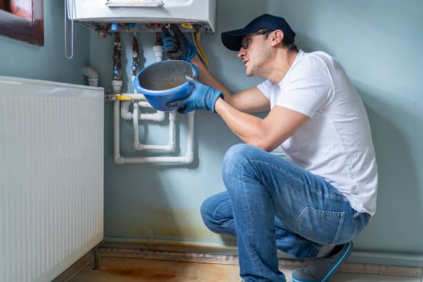 Best Emergency Plumber  in Elfers, FL