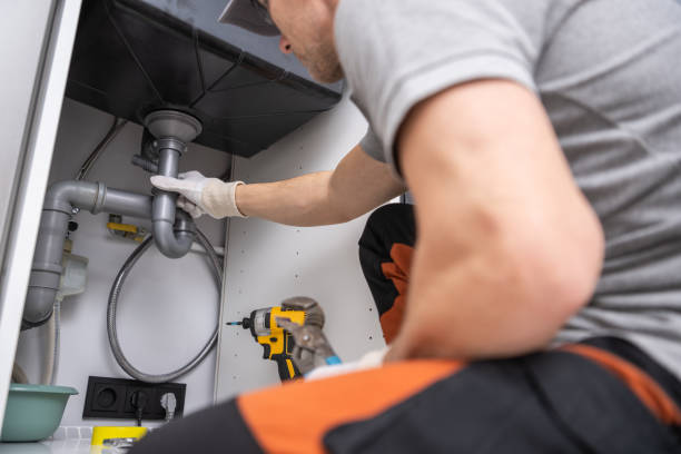Best Residential Plumbing Services  in Elfers, FL