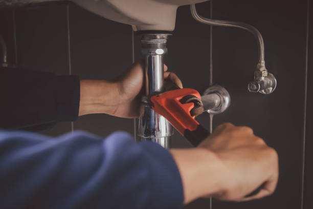 Best Clogged Drain Plumber  in Elfers, FL